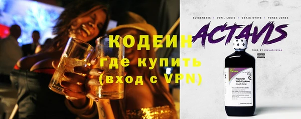 индика Россошь